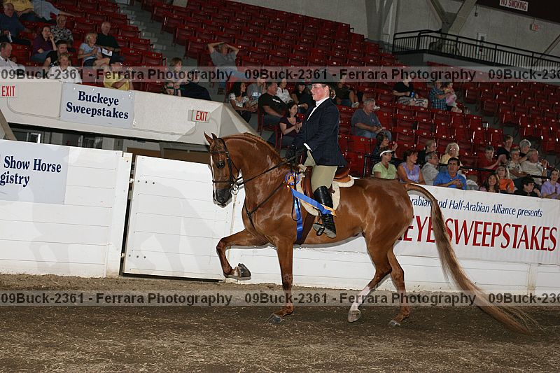 Proof Number 09buck-2361