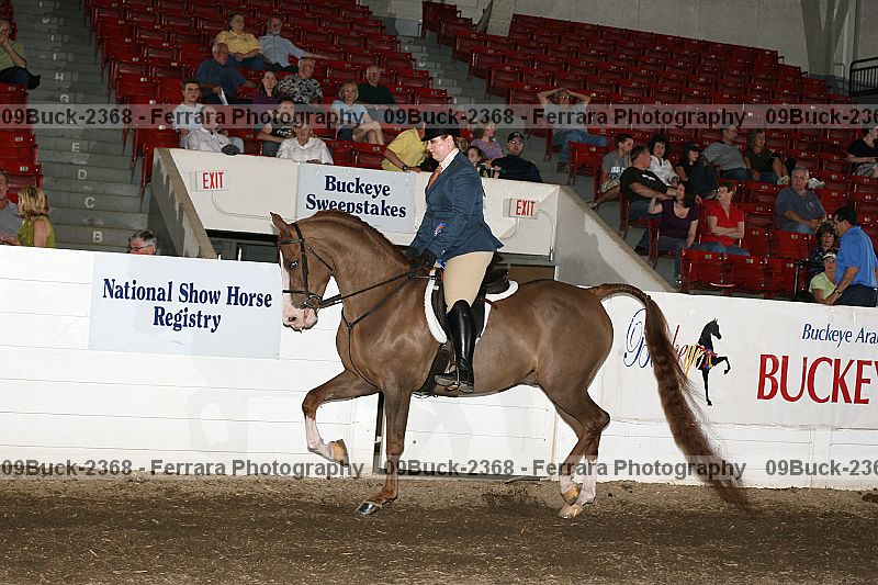 Proof Number 09buck-2368