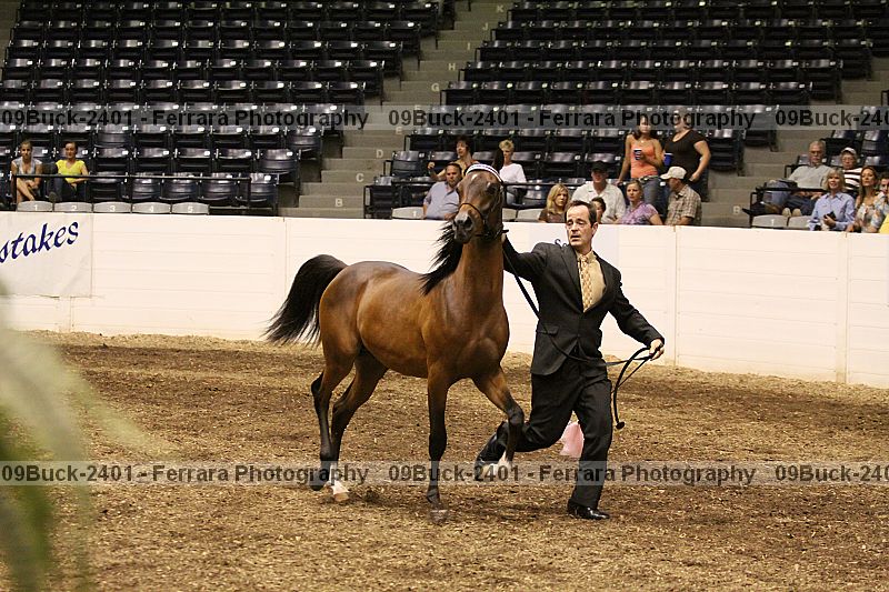 Proof Number 09buck-2401