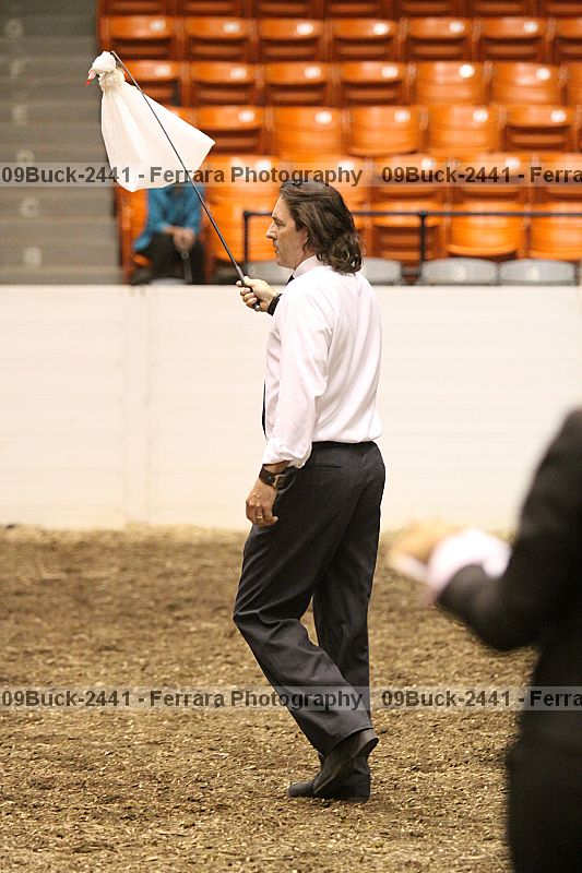 Proof Number 09buck-2441