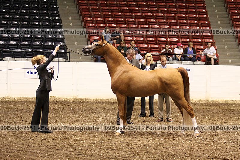 Proof Number 09buck-2541