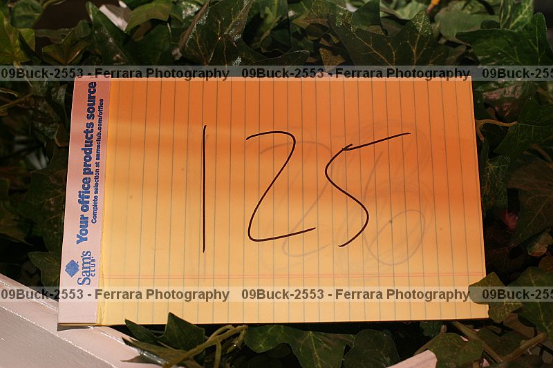 Proof Number 09buck-2553