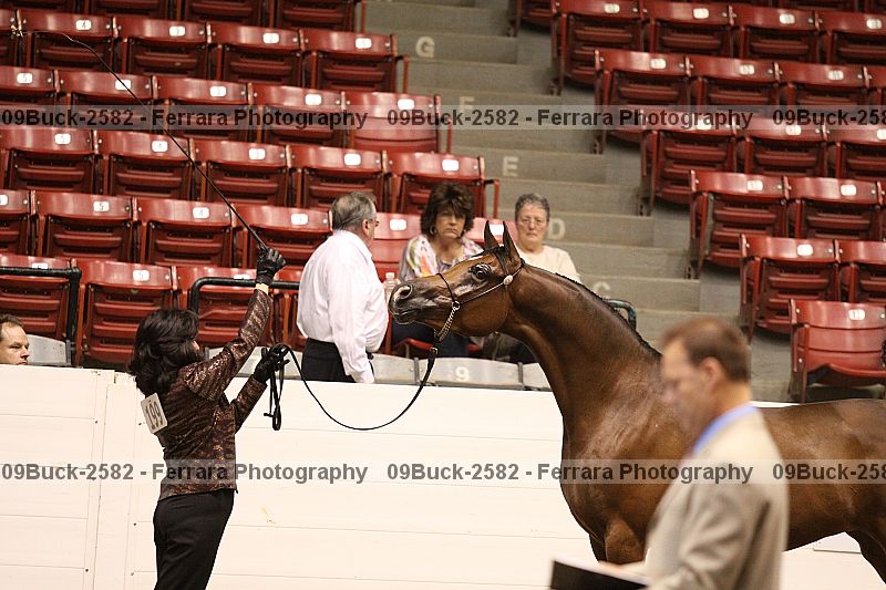 Proof Number 09buck-2582