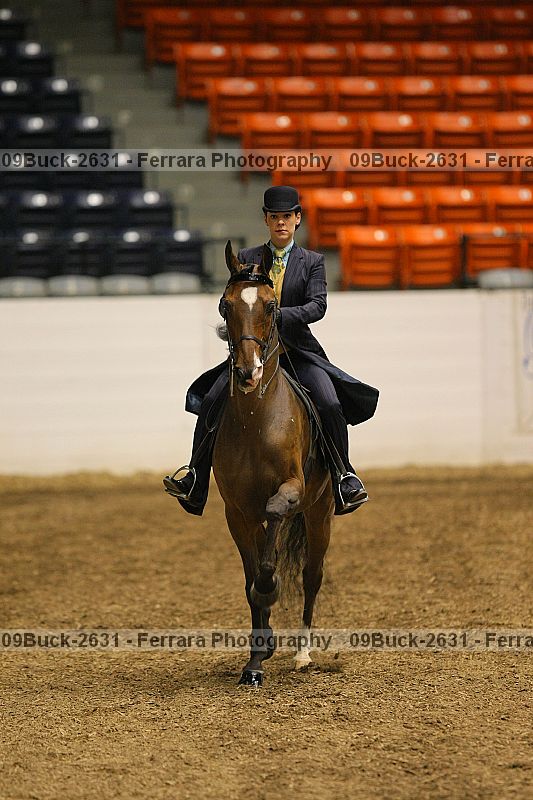 Proof Number 09buck-2631