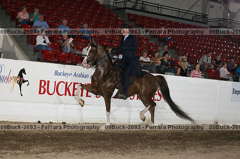 Proof Number 09buck-2693