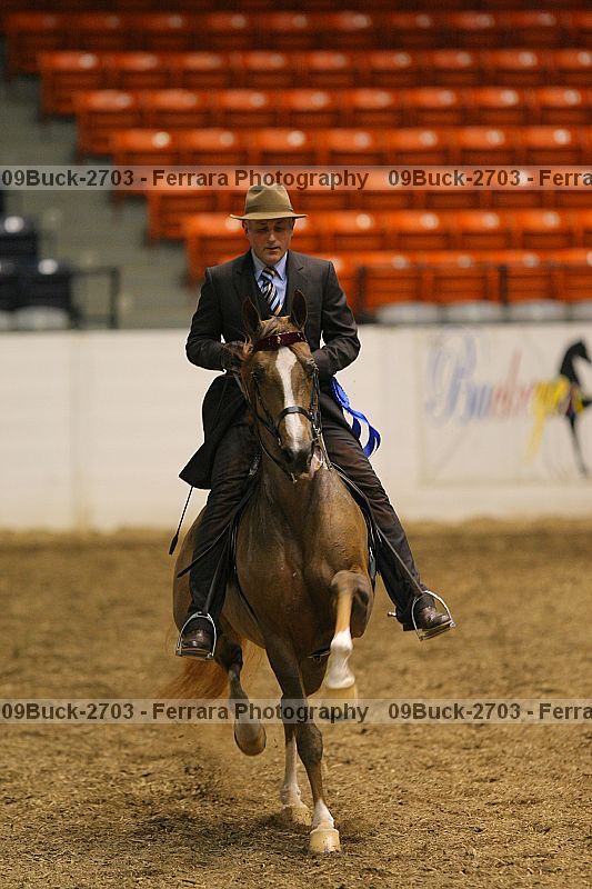 Proof Number 09buck-2703