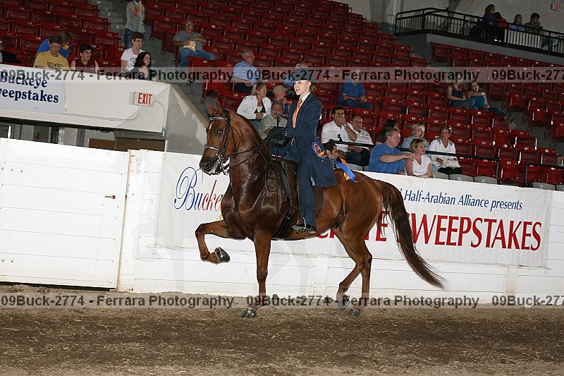 Proof Number 09buck-2774