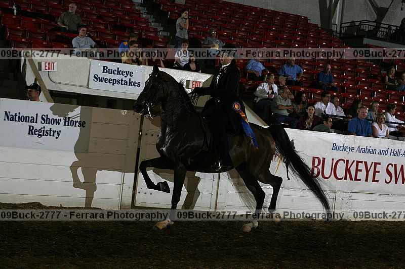 Proof Number 09buck-2777