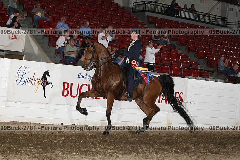 Proof Number 09buck-2781