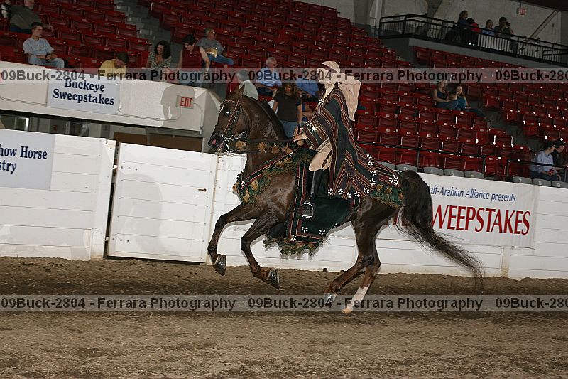 Proof Number 09buck-2804
