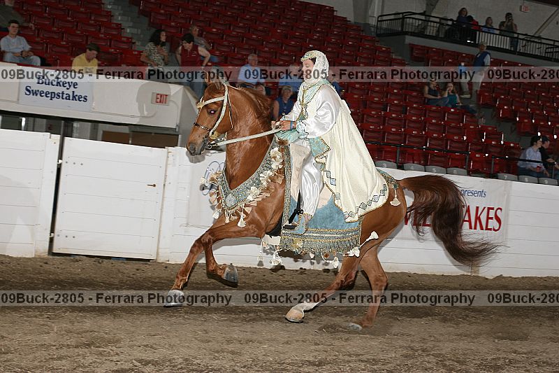 Proof Number 09buck-2805