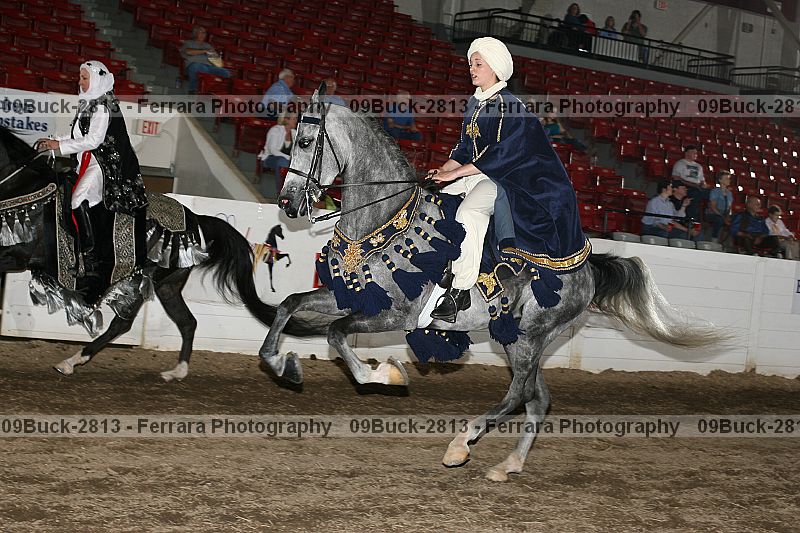 Proof Number 09buck-2813
