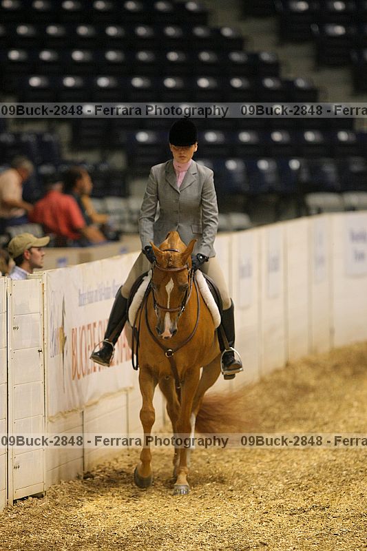 Proof Number 09buck-2848