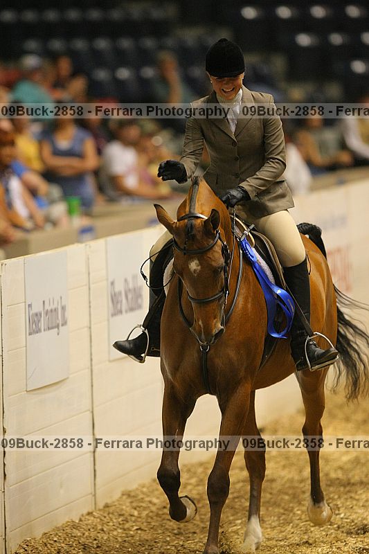 Proof Number 09buck-2858