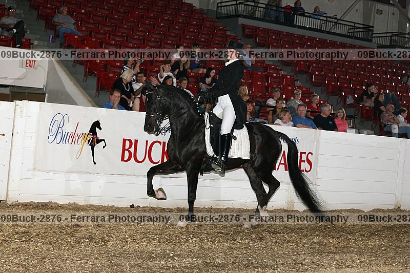 Proof Number 09buck-2876