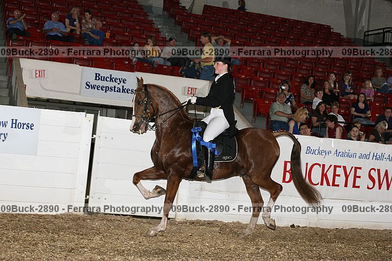 Proof Number 09buck-2890