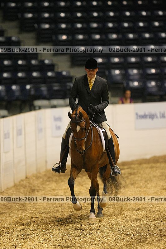 Proof Number 09buck-2901