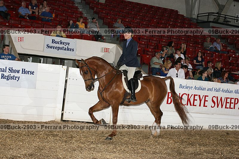 Proof Number 09buck-2903
