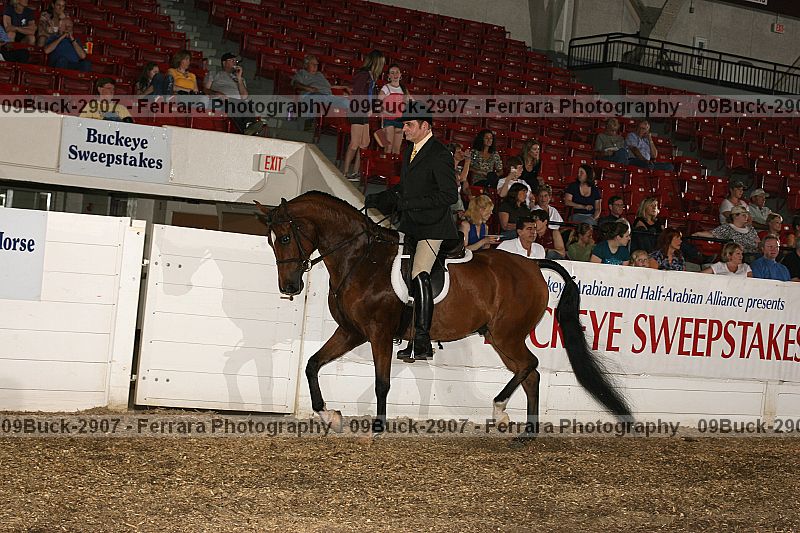 Proof Number 09buck-2907