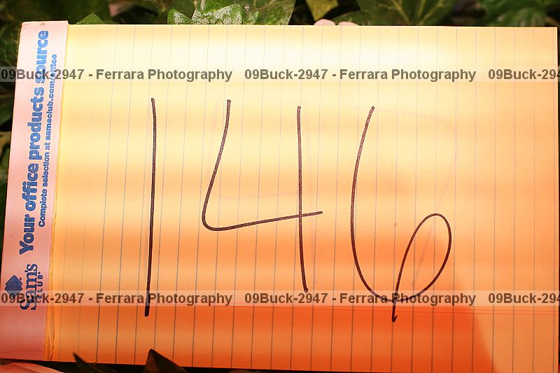 Proof Number 09buck-2947