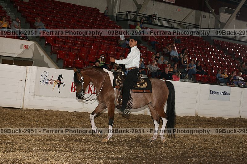 Proof Number 09buck-2951