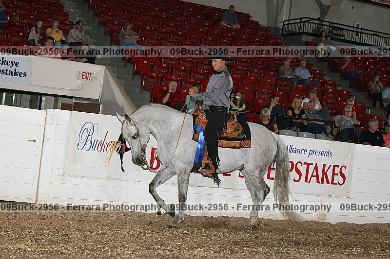 Proof Number 09buck-2956
