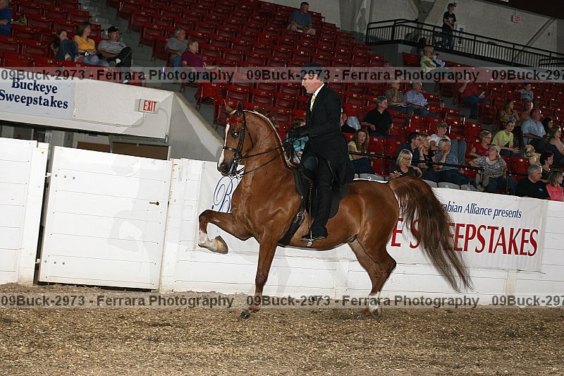 Proof Number 09buck-2973