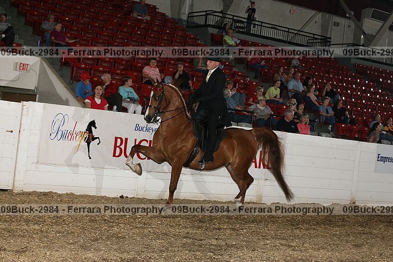 Proof Number 09buck-2984