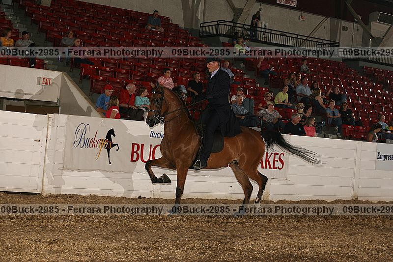 Proof Number 09buck-2985