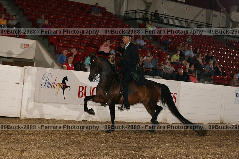 Proof Number 09buck-2988