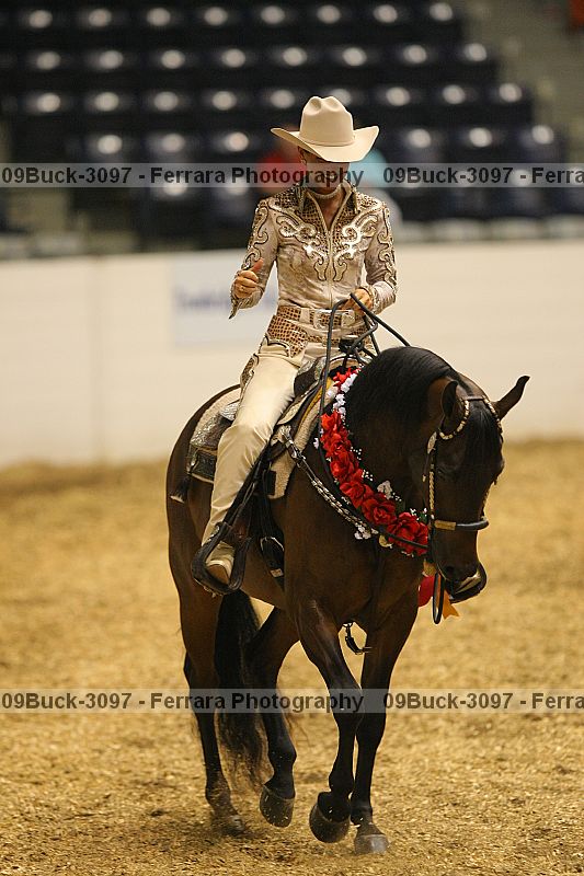 Proof Number 09buck-3097
