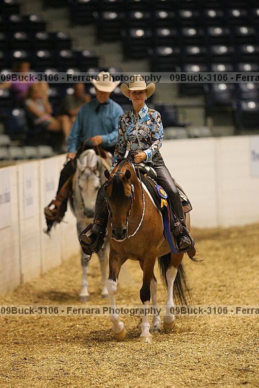 Proof Number 09buck-3106