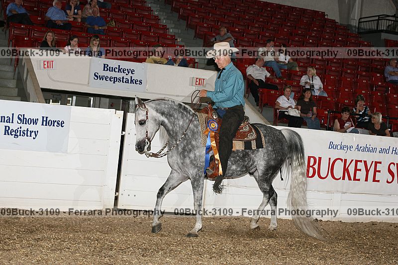 Proof Number 09buck-3109