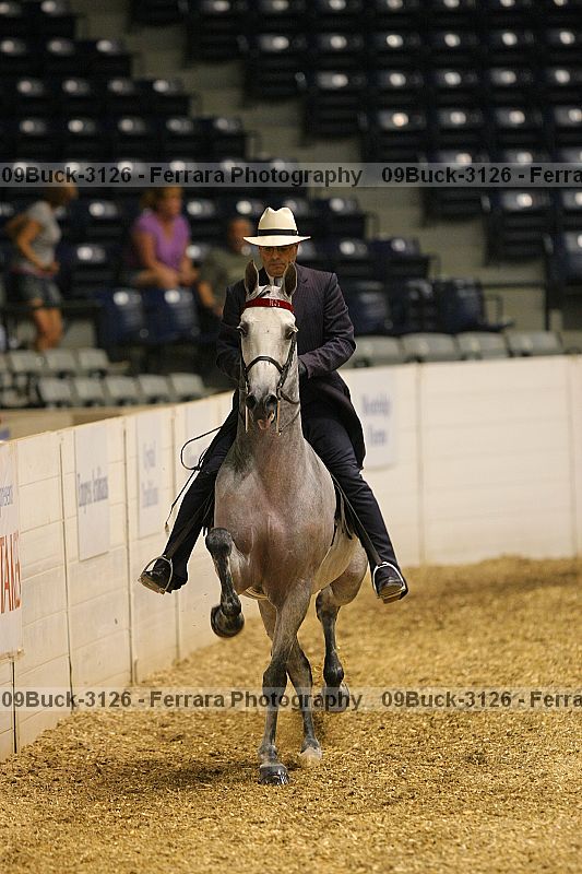 Proof Number 09buck-3126