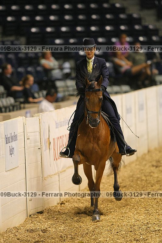 Proof Number 09buck-3129
