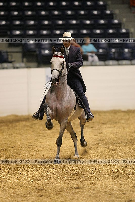 Proof Number 09buck-3133