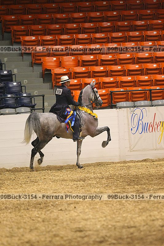 Proof Number 09buck-3154