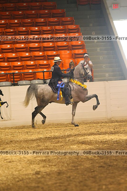 Proof Number 09buck-3155