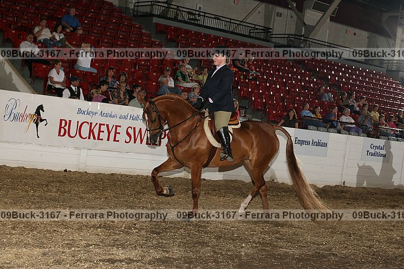 Proof Number 09buck-3167