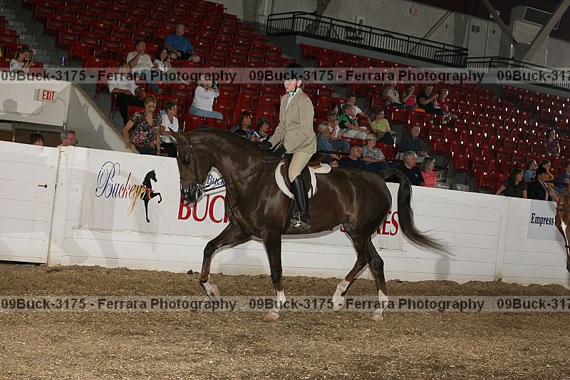 Proof Number 09buck-3175