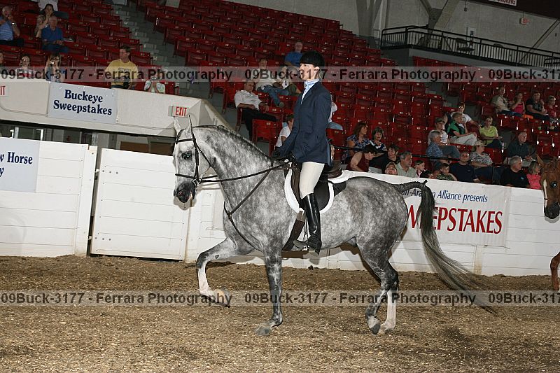 Proof Number 09buck-3177