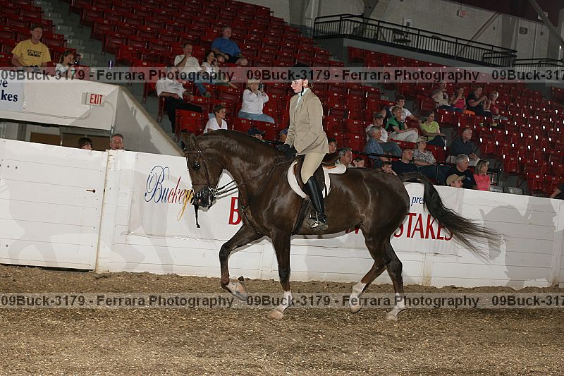 Proof Number 09buck-3179