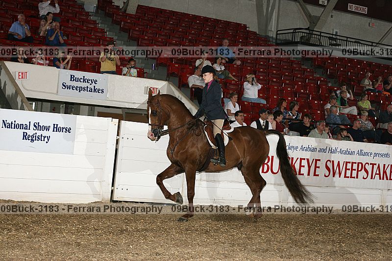 Proof Number 09buck-3183