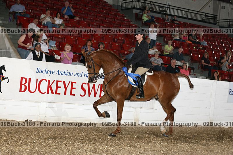 Proof Number 09buck-3188
