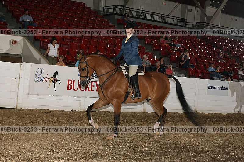 Proof Number 09buck-3253