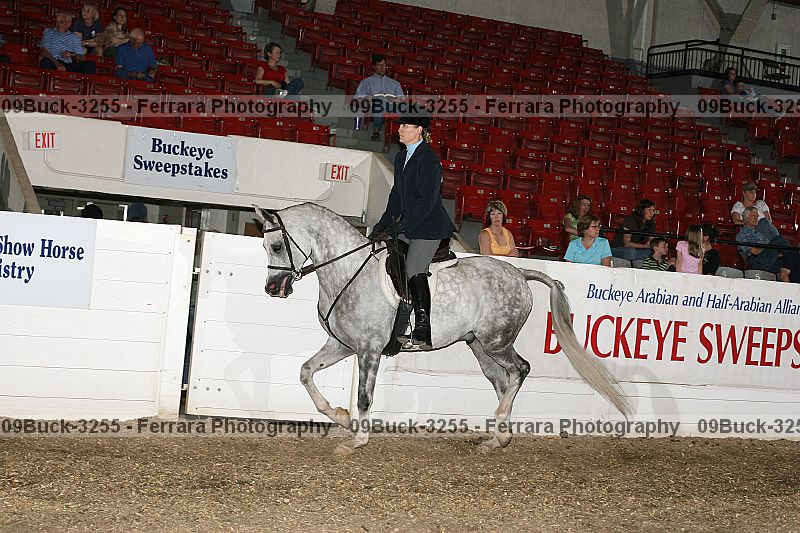 Proof Number 09buck-3255