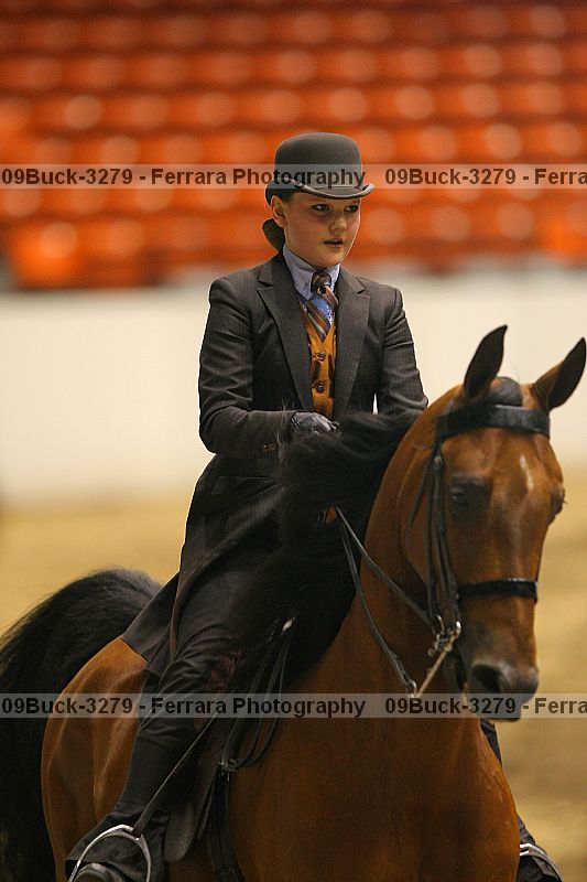 Proof Number 09buck-3279