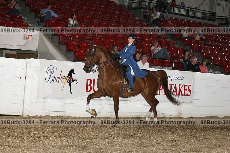 Proof Number 09buck-3294