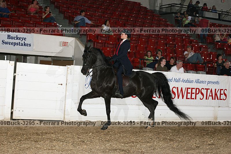 Proof Number 09buck-3295