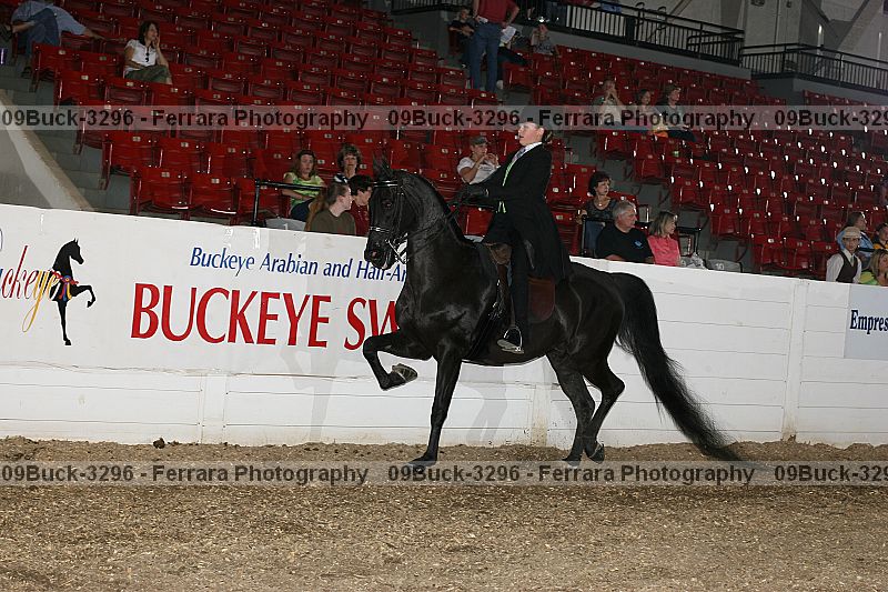 Proof Number 09buck-3296